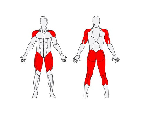 Āra trenažieris senioriem slēpotājs Herkules Slēpotājs.