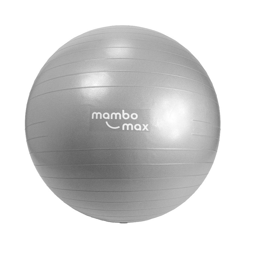 Fitnesa bumba 95 cm anti burst