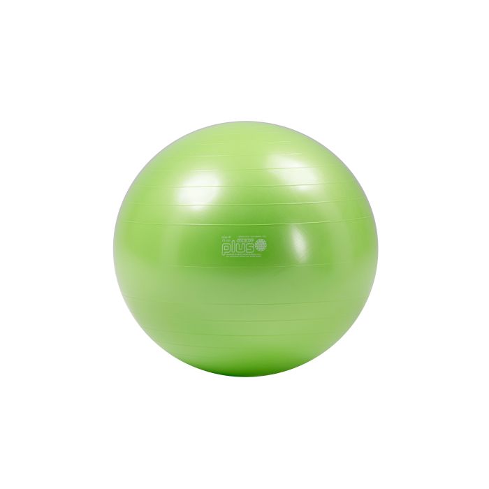 Ftnesa-bumba Gymnic Plus anti burst 65 cm