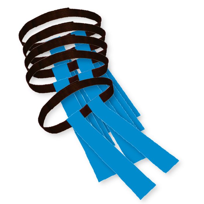 Karoga -Tag futbola lentas zilas