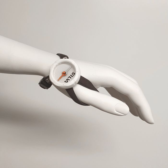 Plaukstas Kompass Silva Begin 2