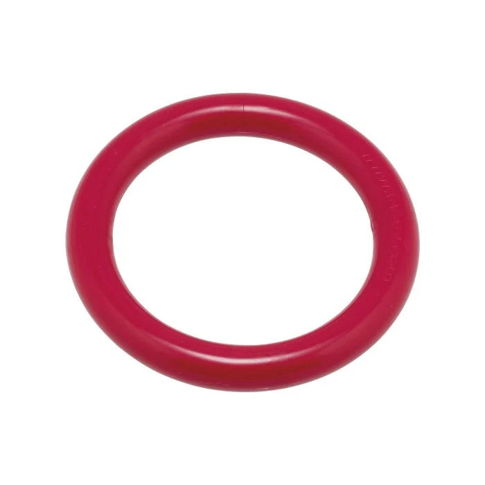 Riņķis niršanas nodarbībām