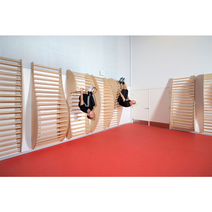 Vingrošanas sieniņa