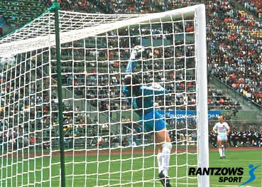 Futbola vārtu tīkls 7.32 x 2.44 m balts