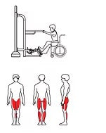 Āra trenažieris senioriem steperis Herkules Stepper. Kāju un sēžas muskulatūras nostiprināšana