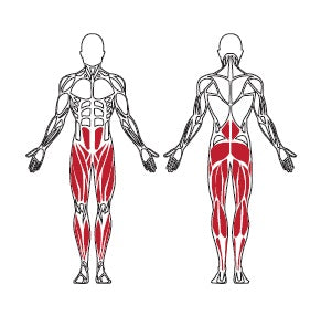 Herkules Charge Squat