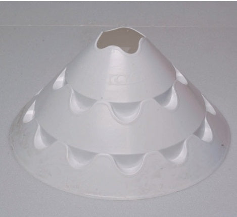 konuss gigantiskā ķīniešu cepurīte