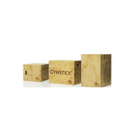 Pliometriskā kaste Plyobox Gymstick 76 x 60 x 50 CM 