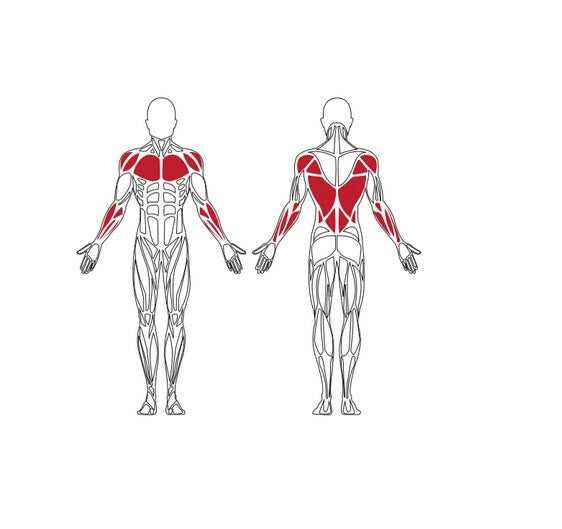 Brīvdabas trenažieris Herkules Charge Chest Press