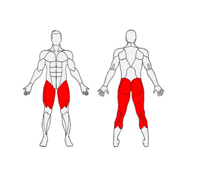 Āra trenažieris senioriem Herkules Stepper
