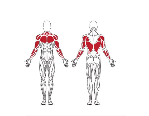 Brīvdabas trenažieris Herkules Charge Vertical Chest Press