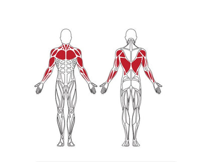 Brīvdabas trenažieris Herkules Charge Vertical Chest Press