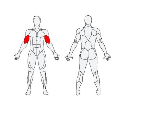 Āra trenažieris Herkules Biceps