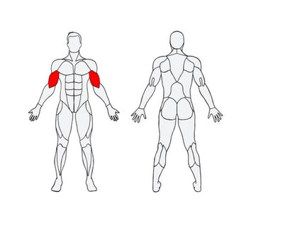 Āra trenažieris Herkules Biceps