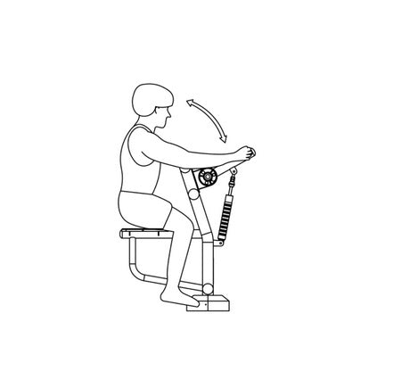 Āra trenažieris Herkules Biceps