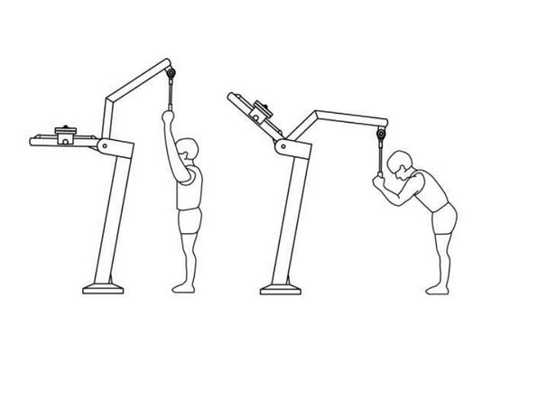 Herkules Bodybuilding Back Press