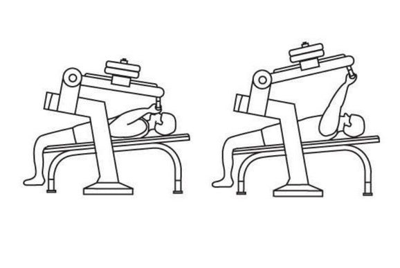 Herkules Bodybuilding Bench Press