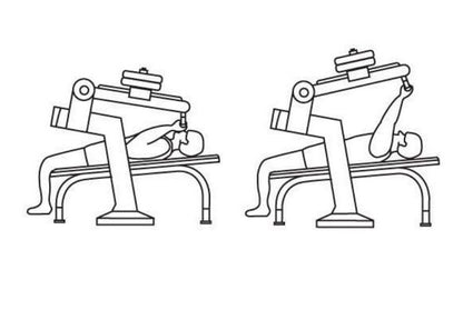 Herkules Bodybuilding Bench Press