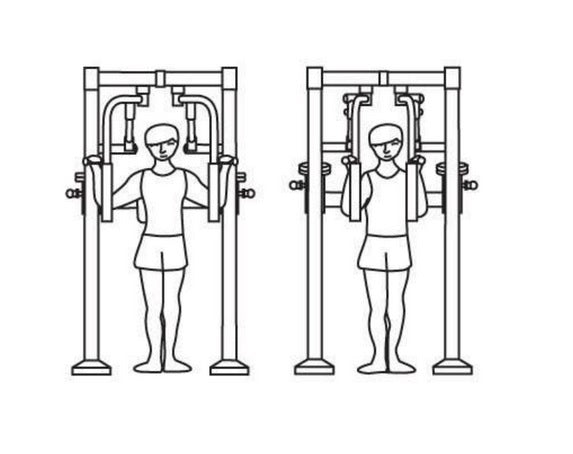 Herkules Bodybuilding Butterfly