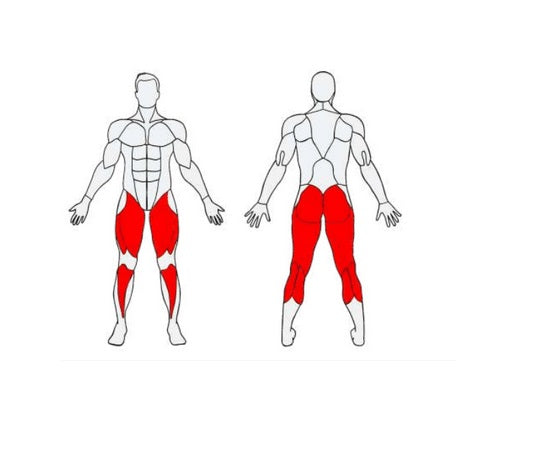 Herkules Bodybuilding Thights kāju trenažieris