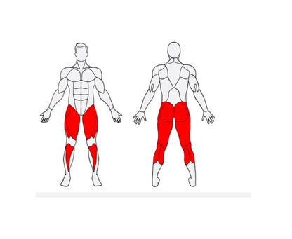 Herkules Bodybuilding Squat