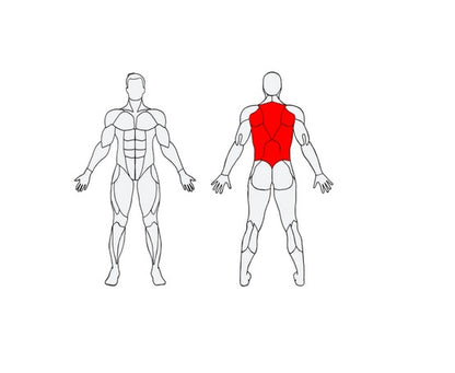 Āra trenažieris Herkules Double Massage Twister