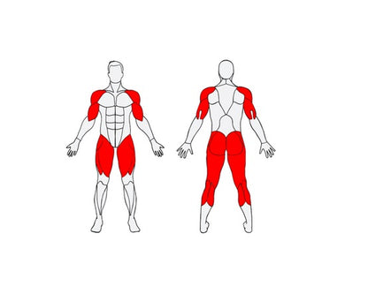 Āra trenažieris Herkules Double Stepper
