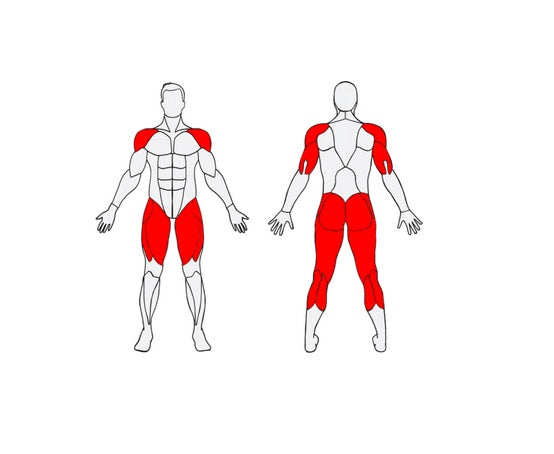Āra trenažieris Herkules Stepper