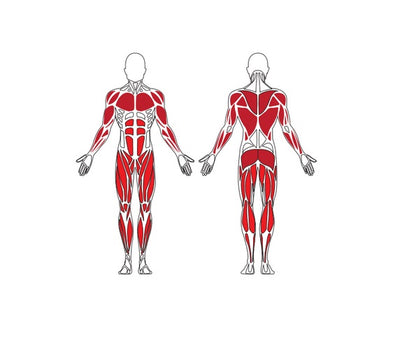 Brīvdabas trenažieris Herkules Charge Rower