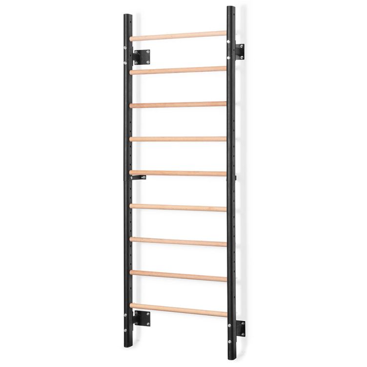 Vingrošanas sieniņa Gymstick 220 x 80 cm