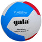 Volejbola bumba Gala Training 5565S