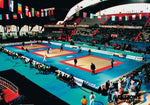Tatami paklājs Aglorex Olympic