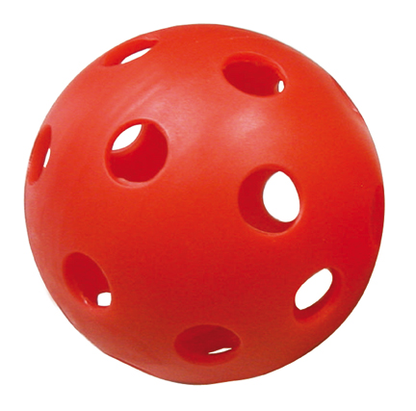 FLORBOLA BUMBIŅA