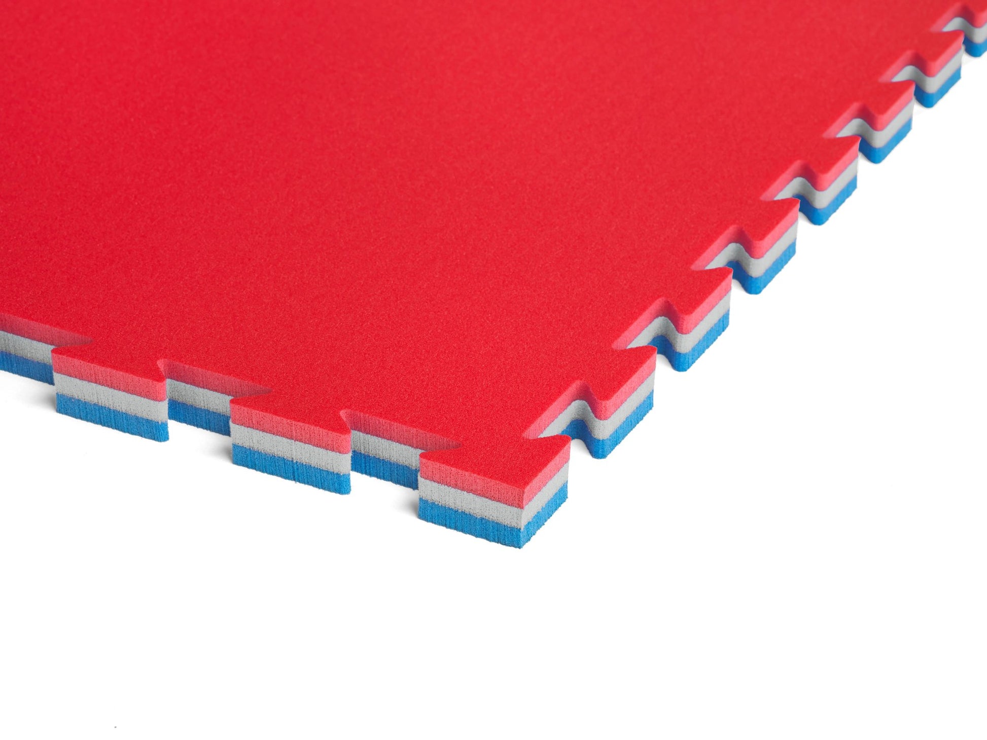 Tatami paklājs ProGame Basic Plus