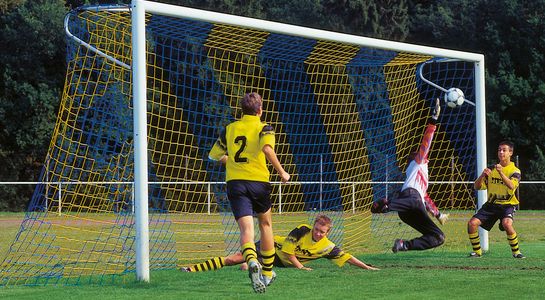 Futbola vārtu tīkls 7.32 x 2.44m strīpains